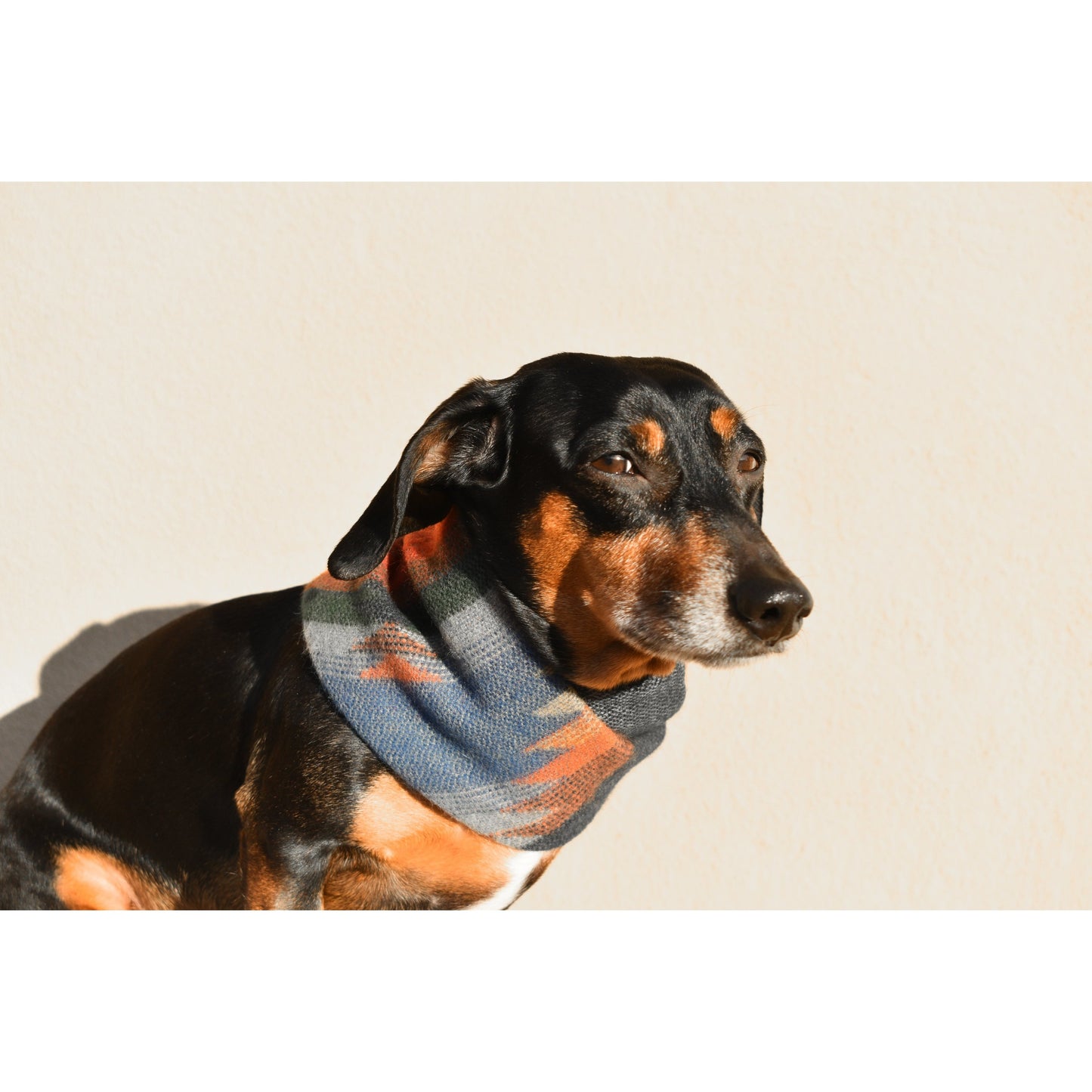 Sequoia Dog Scarf – Cozy & Stylish Matching Scarf for You & Your Pup!