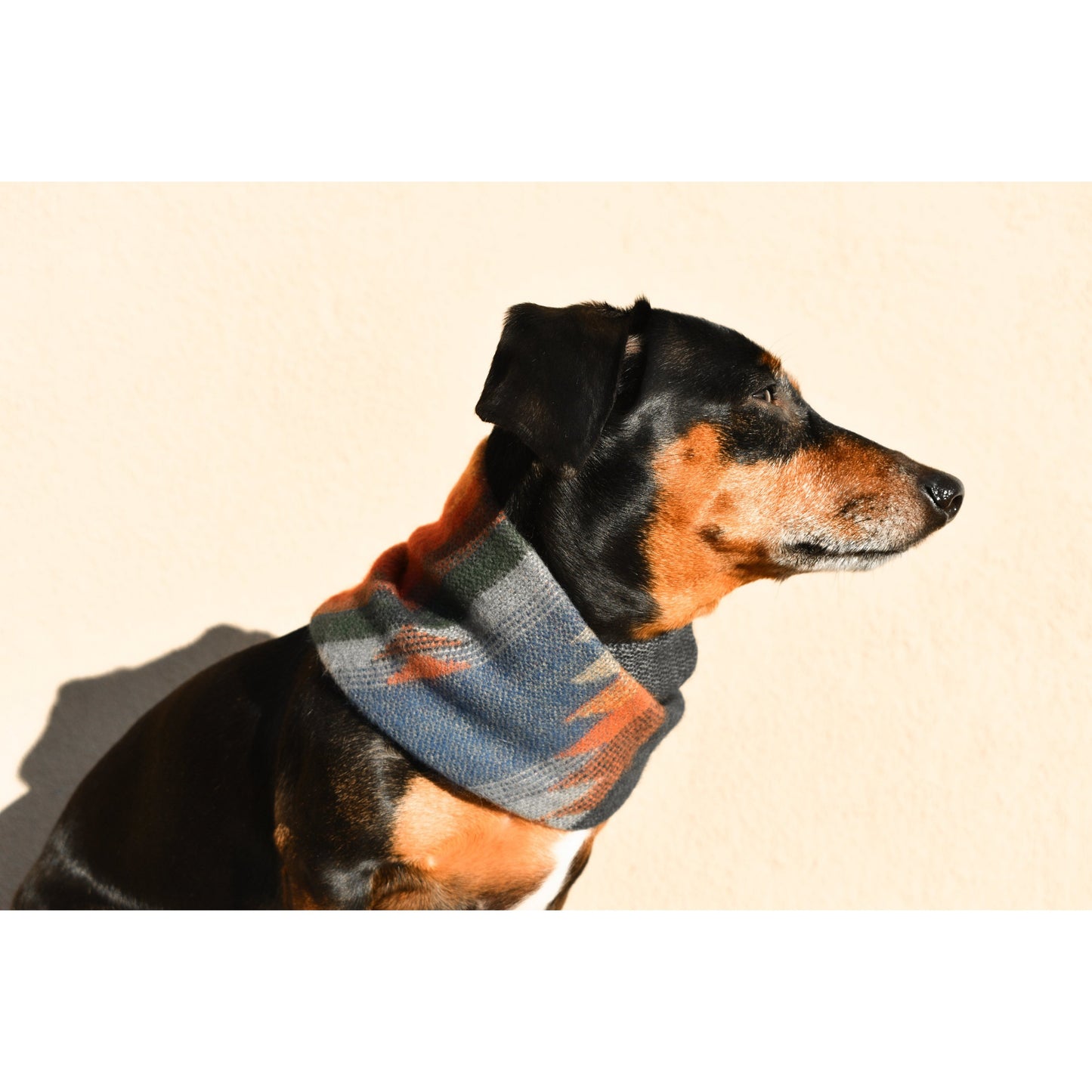 Sequoia Dog Scarf – Cozy & Stylish Matching Scarf for You & Your Pup!