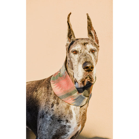 Sequoia Dog Scarf – Cozy & Stylish Matching Scarf for You & Your Pup!