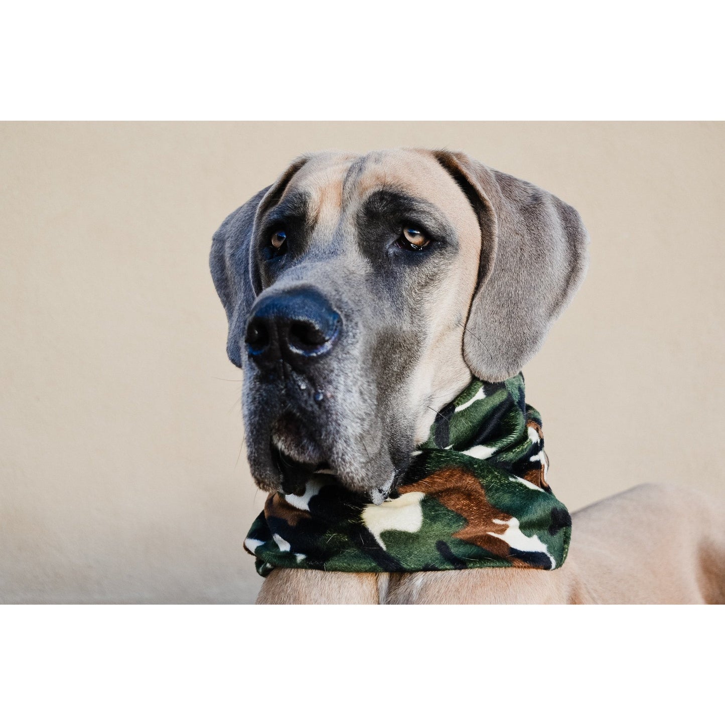 Can't See Me Camo Dog Scarf – Stylish Matching Scarf for Dogs & Owners!