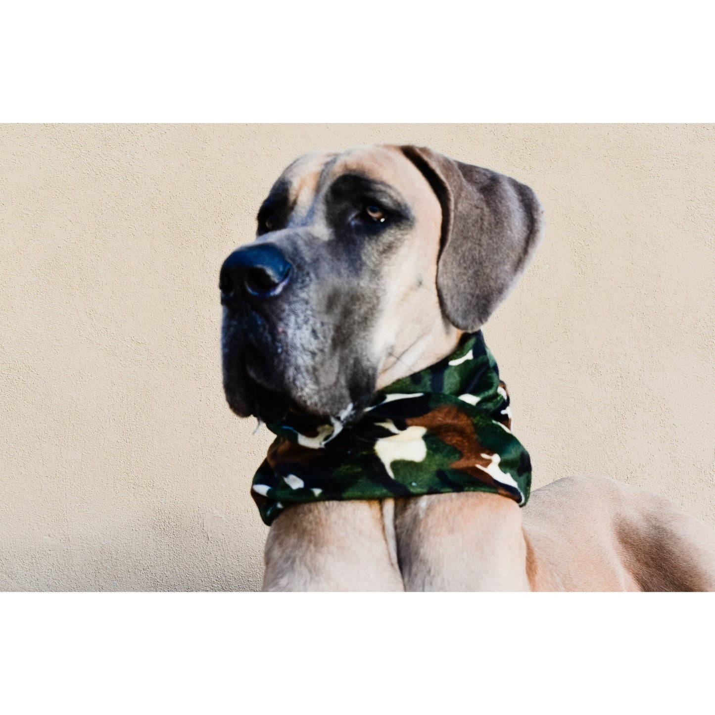 Can't See Me Camo Dog Scarf – Stylish Matching Scarf for Dogs & Owners!