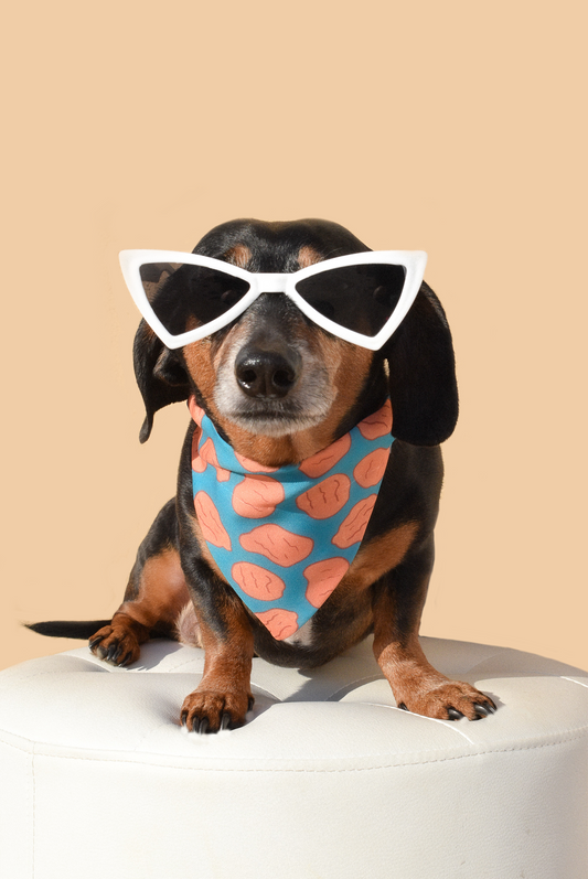 Dog Sunnies – Retro-Style Sunglasses for Trendy Pups!