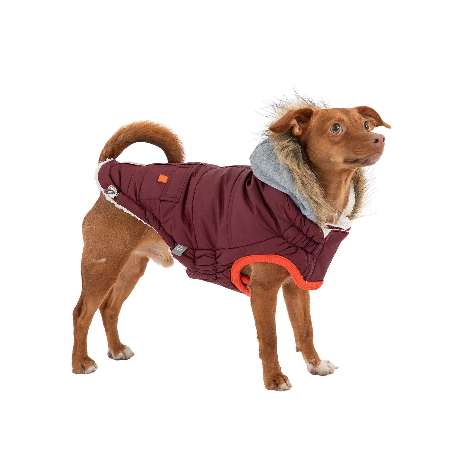 Winter Sailor Parka – Burgundy | Water-Repellent Dog Coat with Sherpa Lining!