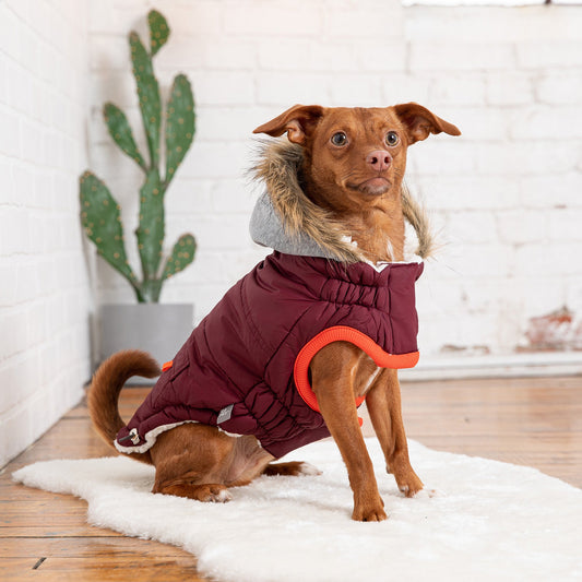 Winter Sailor Parka – Burgundy | Water-Repellent Dog Coat with Sherpa Lining!