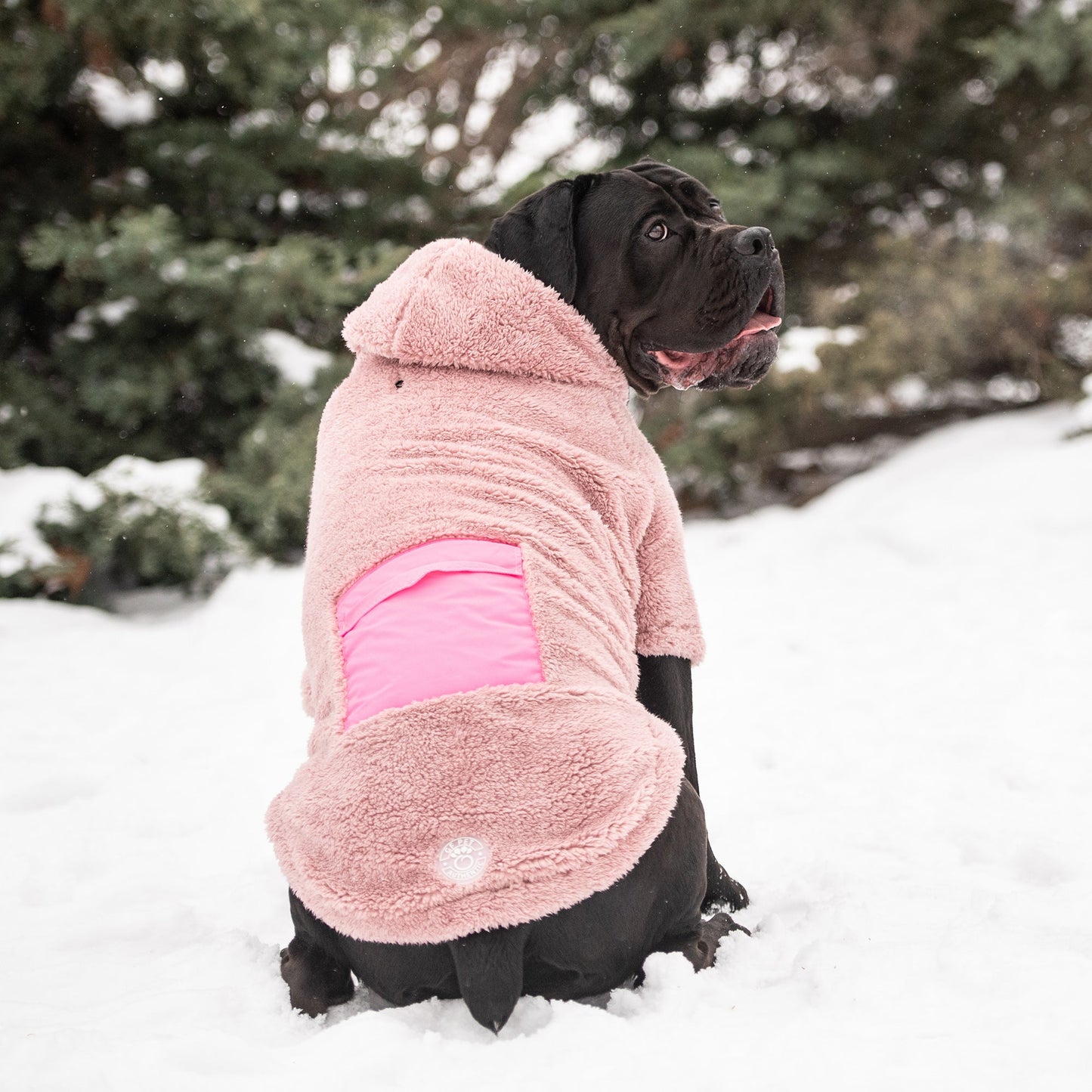 Sudadera con capucha acogedora - Rosa | ¡Sudadera con capucha para perro de polar Sherpa ultra suave!