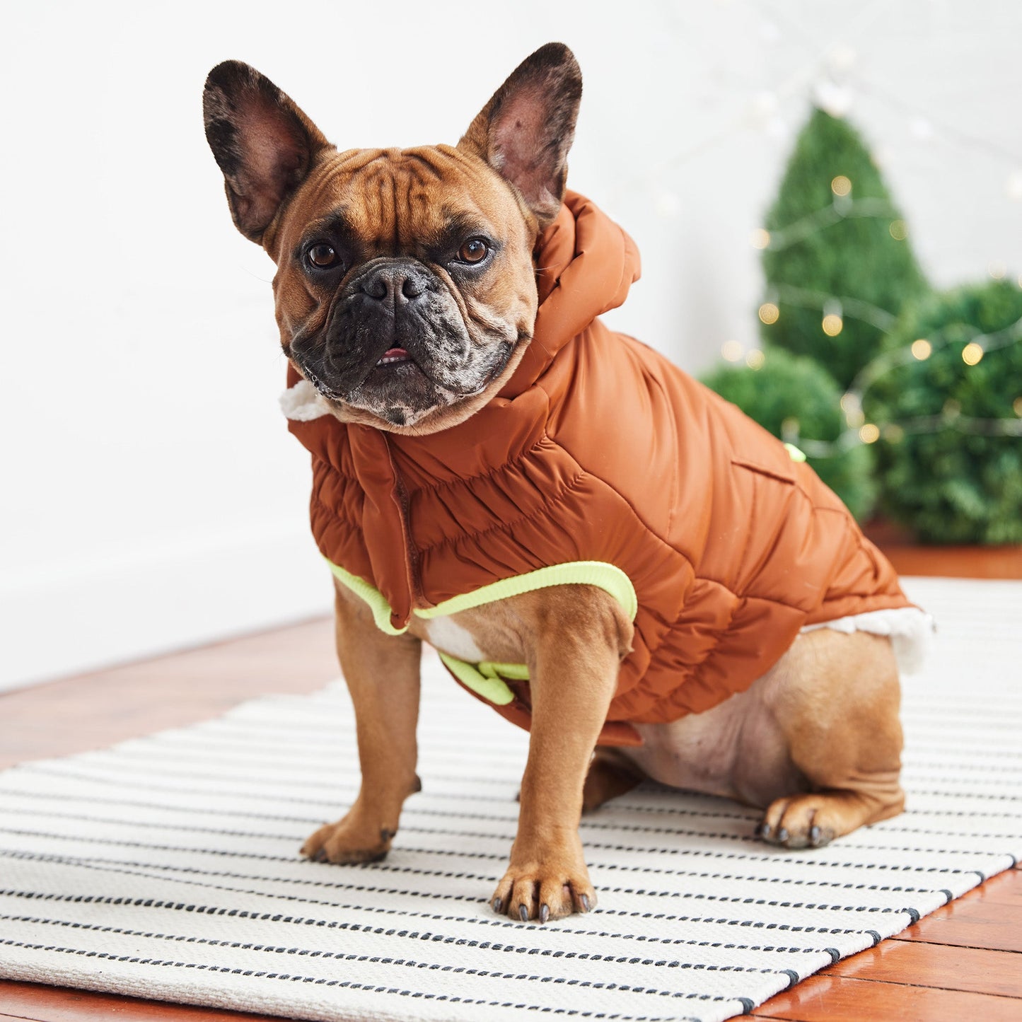 The Puff Parka - Hazel | Ultra-Warm Dog Coat with Sherpa Lining!