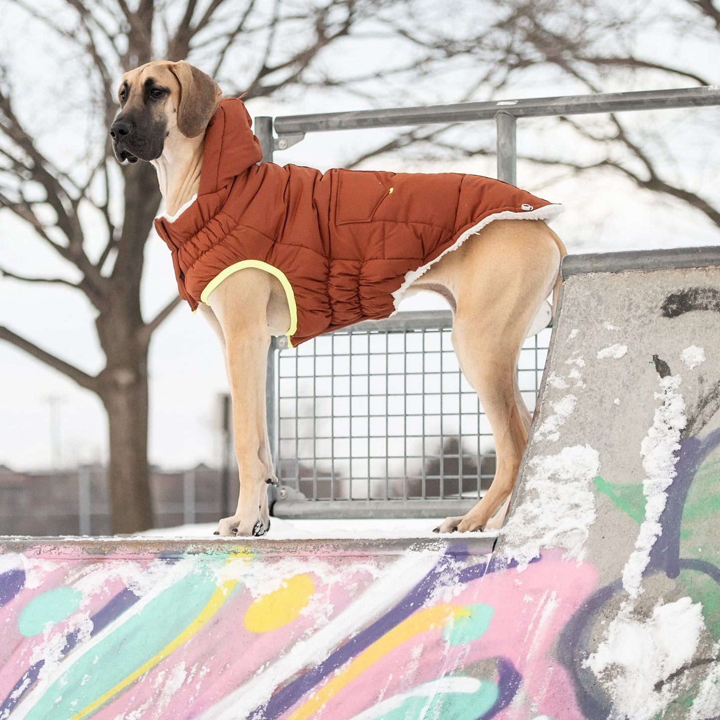 The Puff Parka - Hazel | Ultra-Warm Dog Coat with Sherpa Lining!