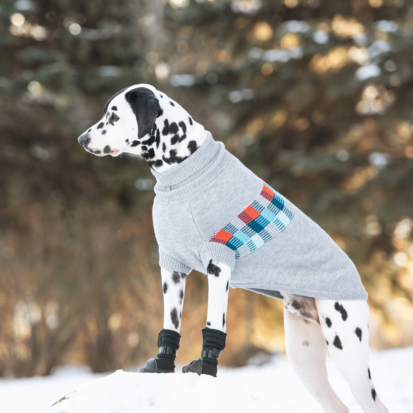 Suéter marinero de invierno - Mezcla de grises | ¡Cuello alto para perro retro!