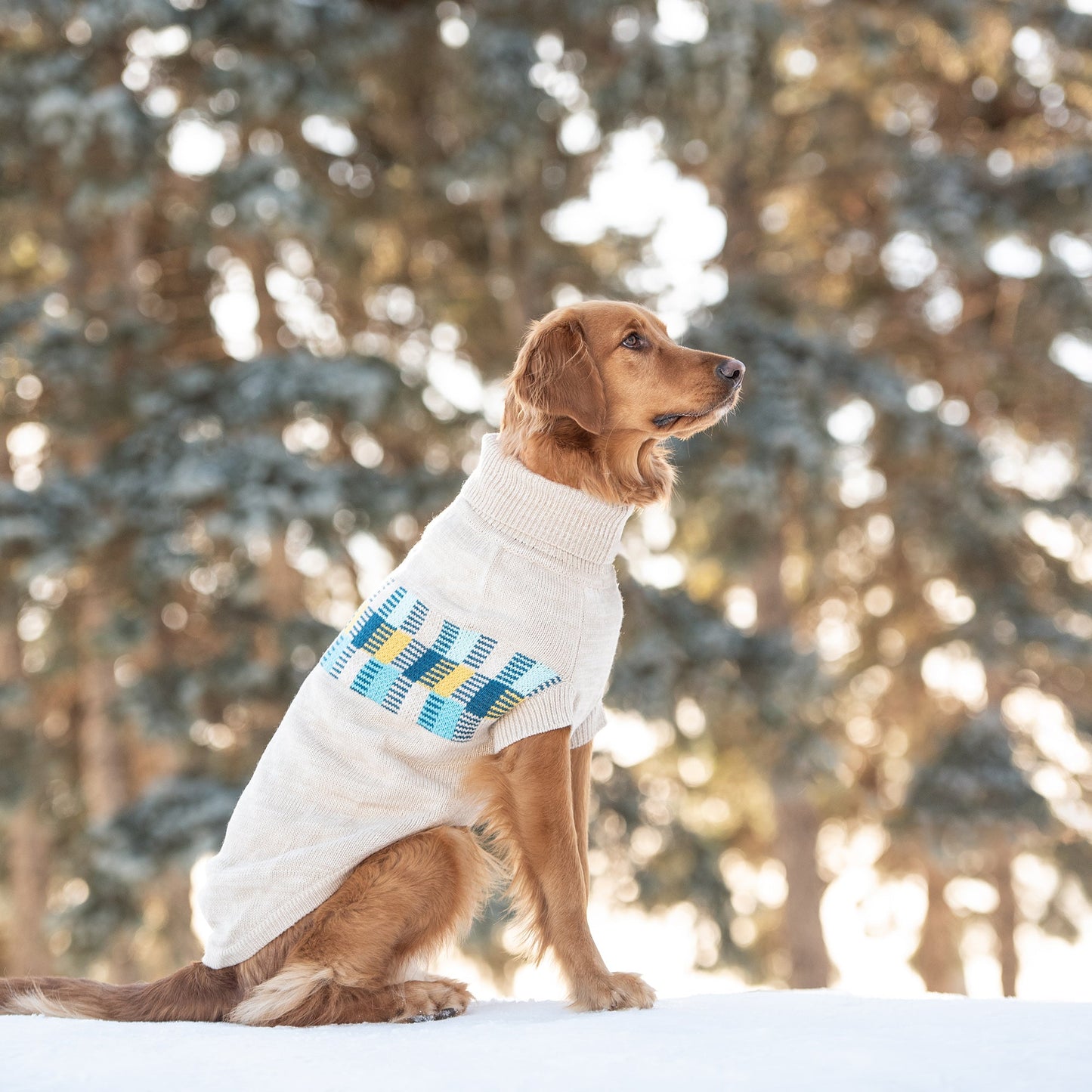 Suéter marinero de invierno: mezcla de avena | ¡Cuello alto de perro retro!