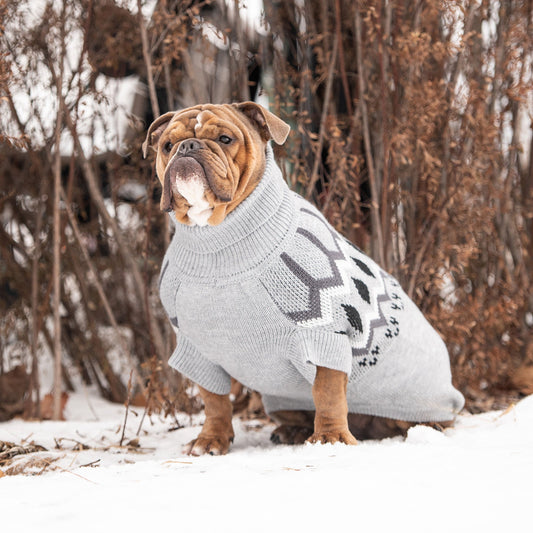 Suéter Heritage - Mezcla de grises | ¡Cuello alto para perro vintage!