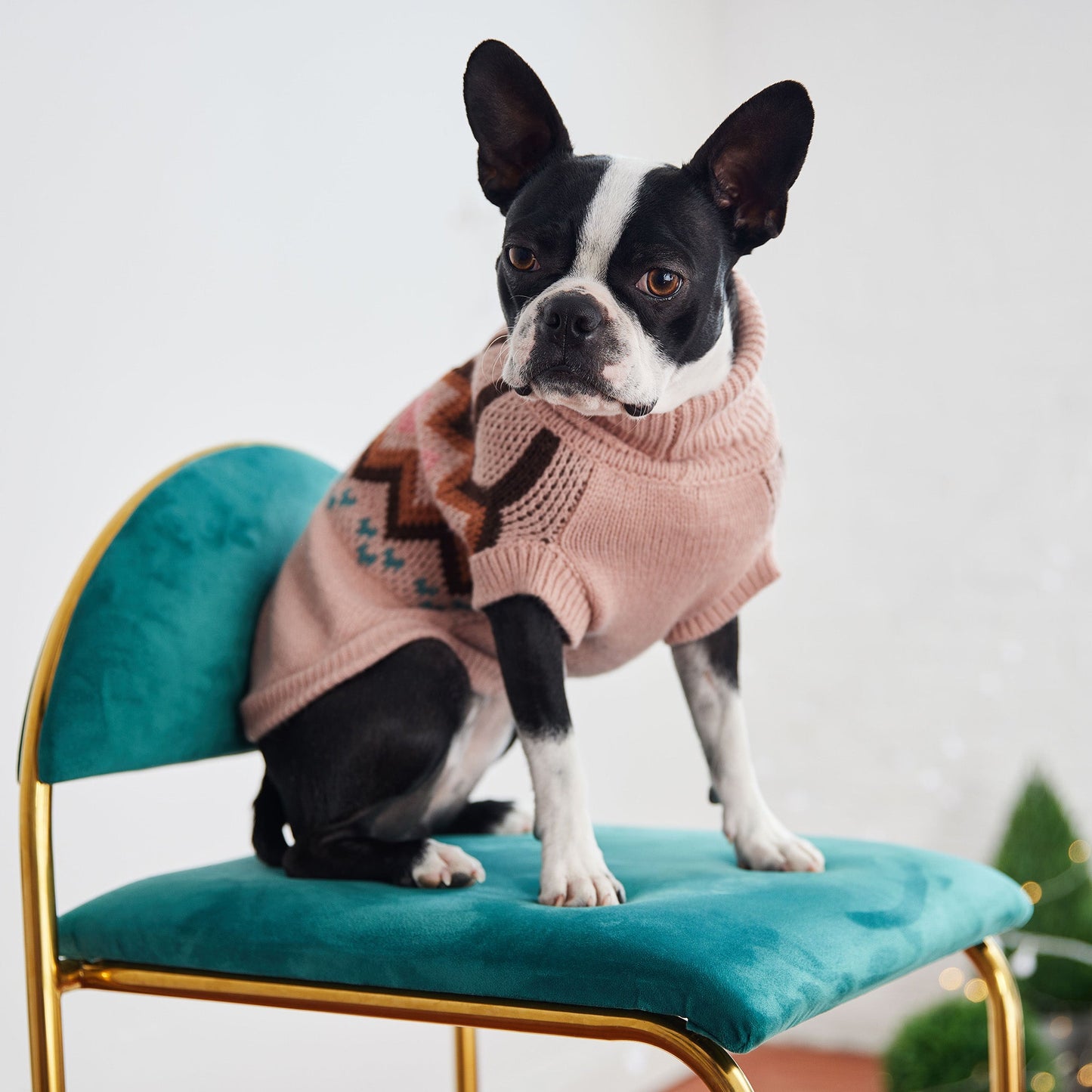 Suéter Heritage - Rosa | ¡Cuello alto para perro vintage!