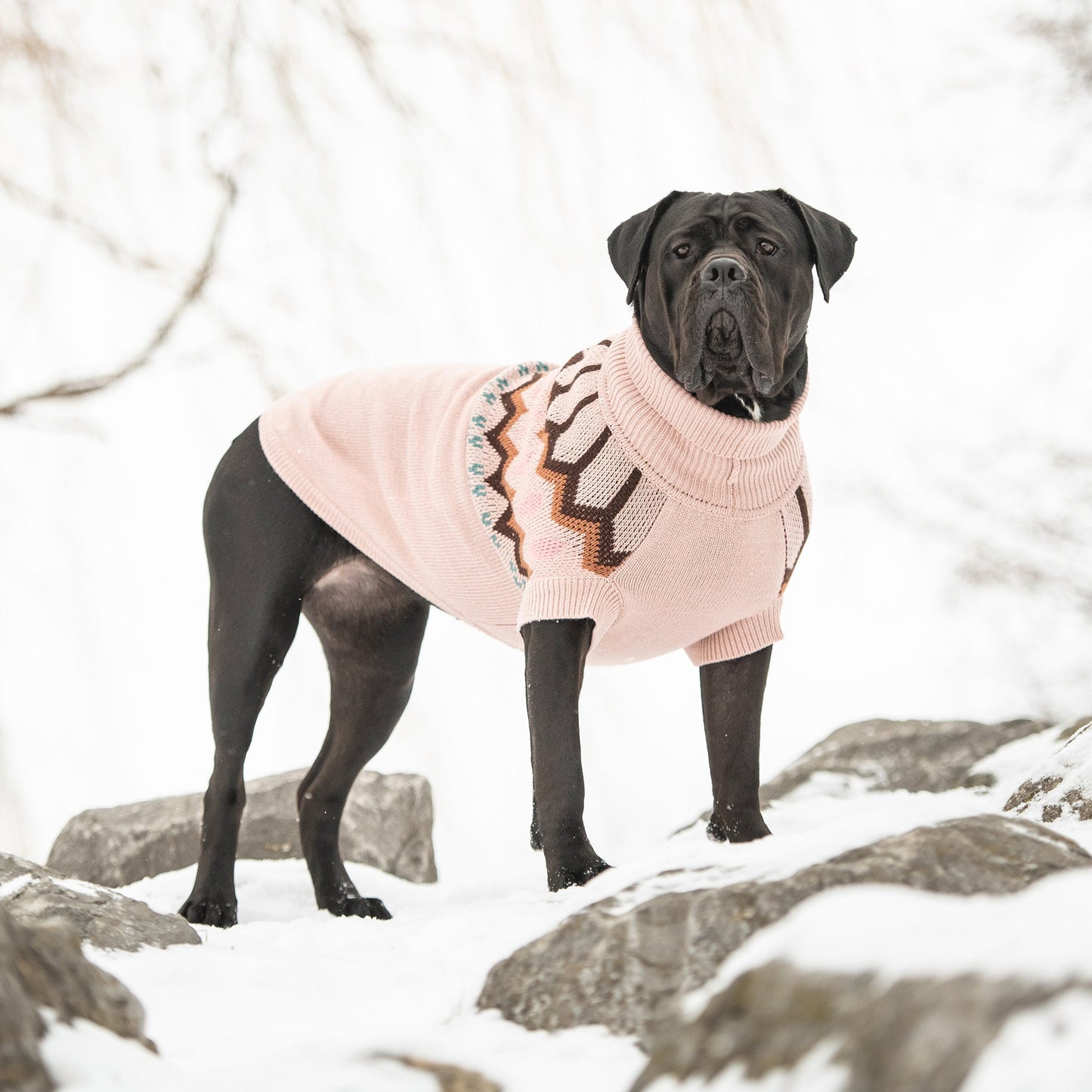 Heritage Sweater - Pink | Vintage Dog Turtleneck!