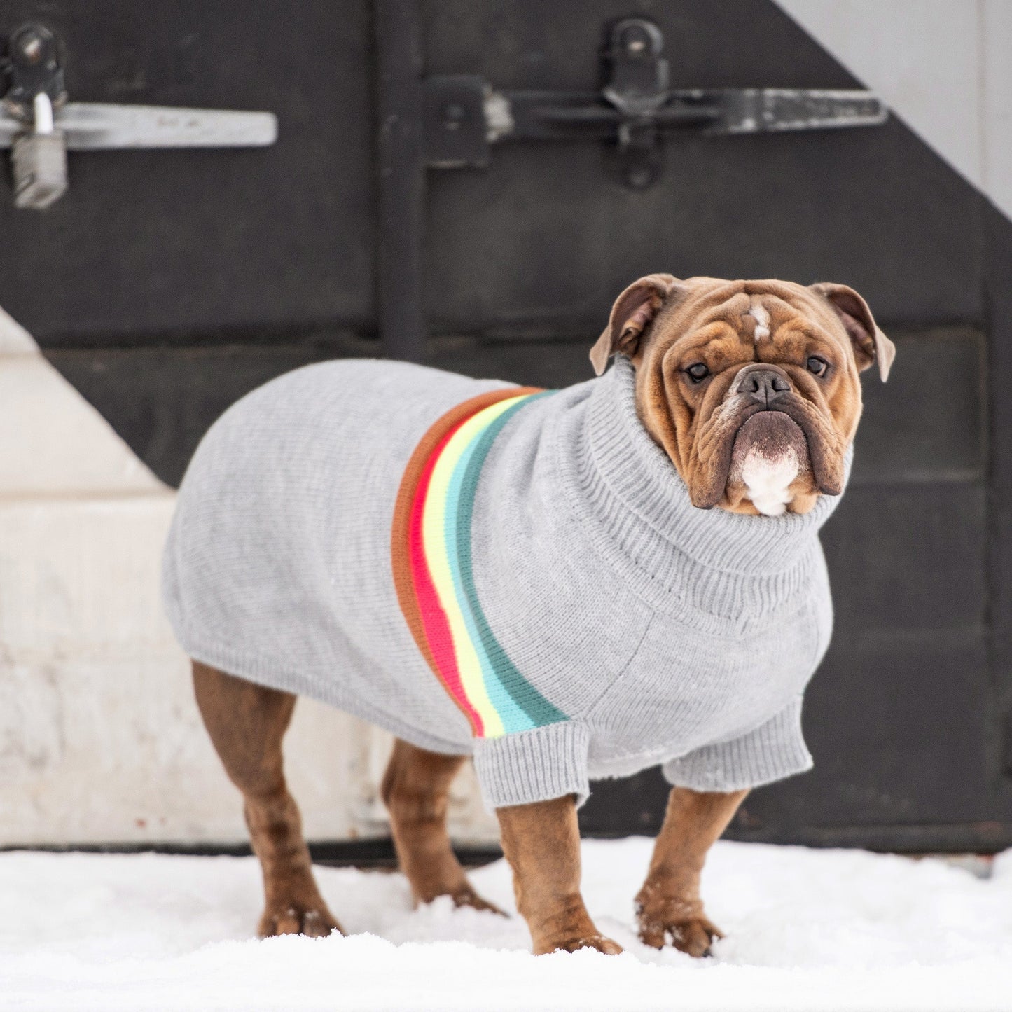 Retro Sweater - Grey Mix | Cozy Turtleneck for Dogs!