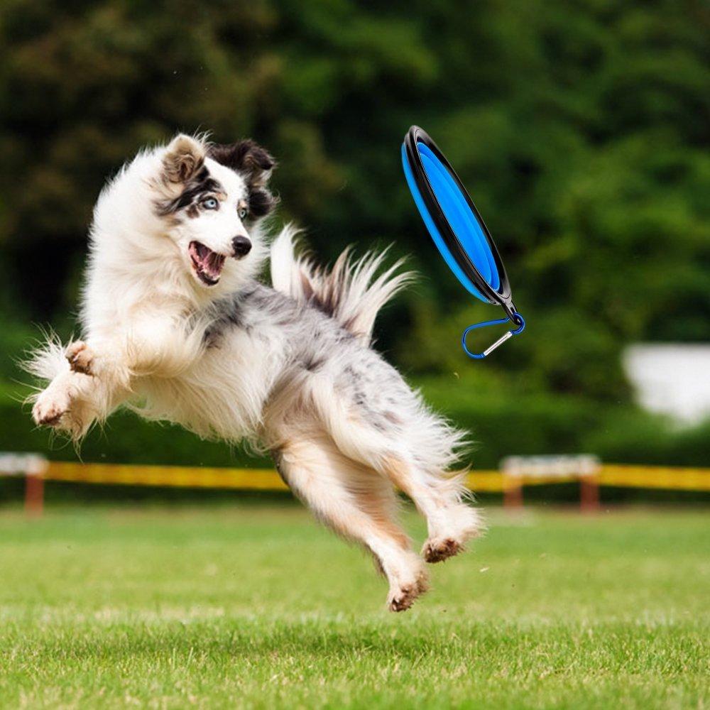 Botella de agua para perros 2 en 1 con recipiente plegable: ¡el compañero de viaje definitivo para tu mascota!