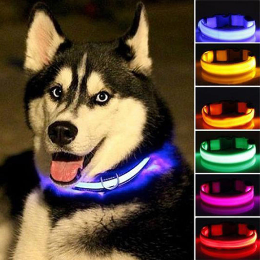 Juego de 2 collares LED de nailon para perros: ¡mantenga a su cachorro seguro y con estilo!