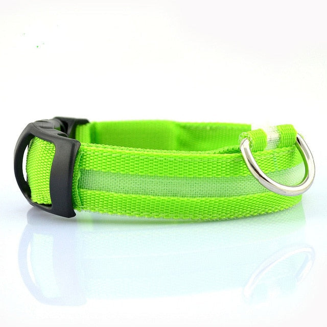 Juego de 2 collares LED de nailon para perros: ¡mantenga a su cachorro seguro y con estilo!