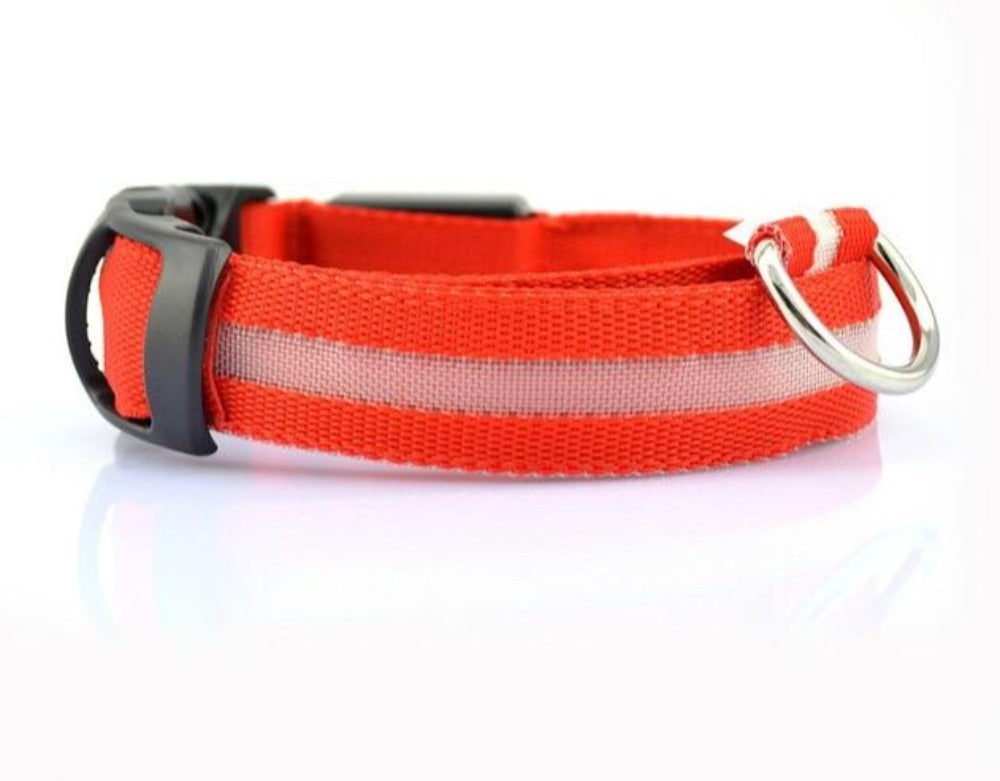 2 PCS Set Nylon LED Dog Collar – Keep Your Pup Safe & Stylish!