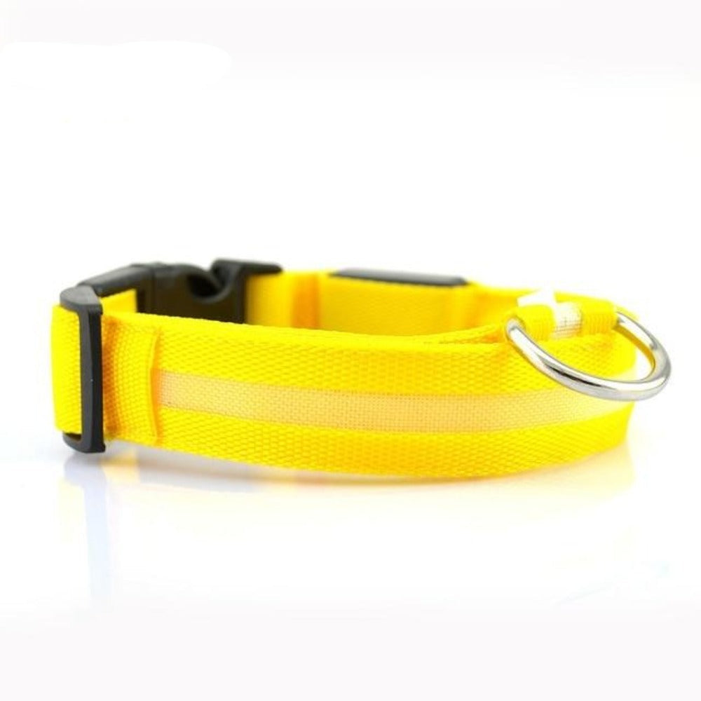 2 PCS Set Nylon LED Dog Collar – Keep Your Pup Safe & Stylish!