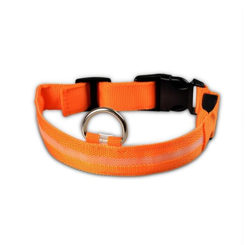 Juego de 2 collares LED de nailon para perros: ¡mantenga a su cachorro seguro y con estilo!