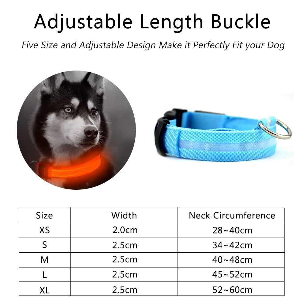 2 PCS Set Nylon LED Dog Collar – Keep Your Pup Safe & Stylish!